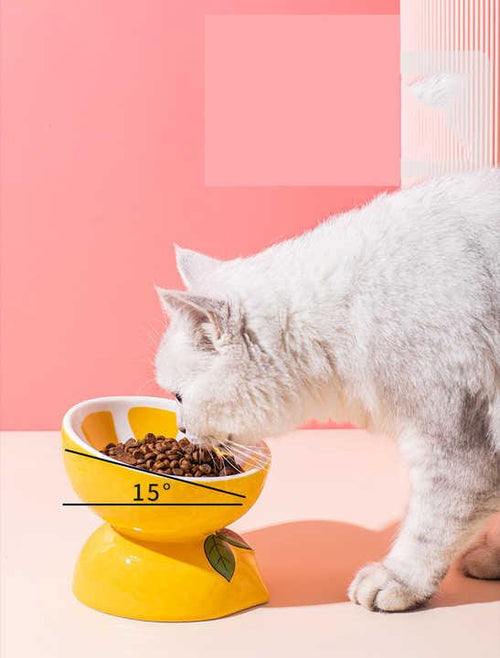 Ceramic Elevated Pet Food Bowl - Pitaya