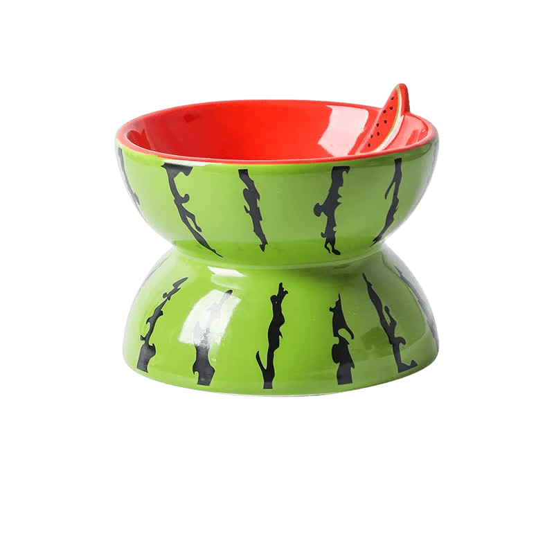Ceramic Elevated Pet Food Bowl - Watermelon