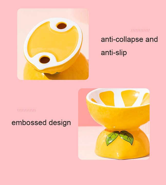 Ceramic Elevated Pet Food Bowl - Watermelon