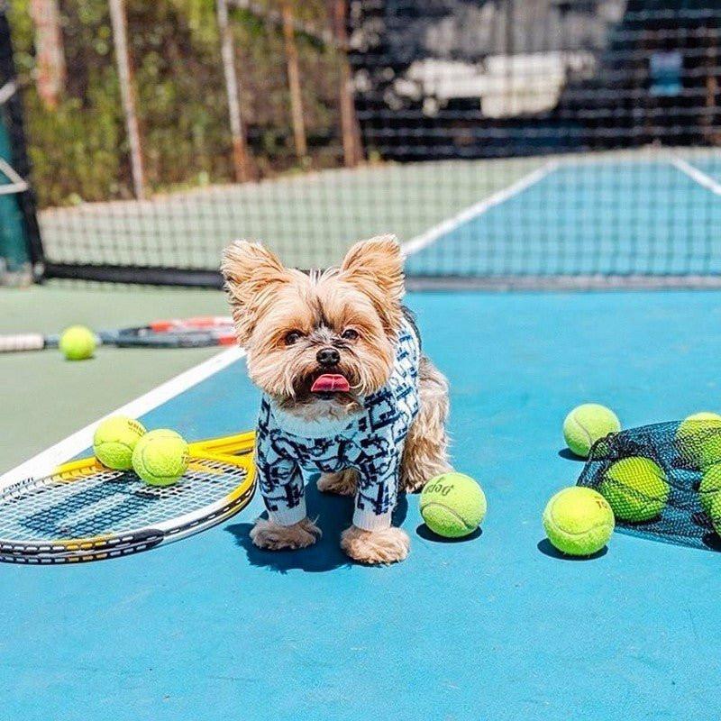 Doggy-ior Dog Sweater