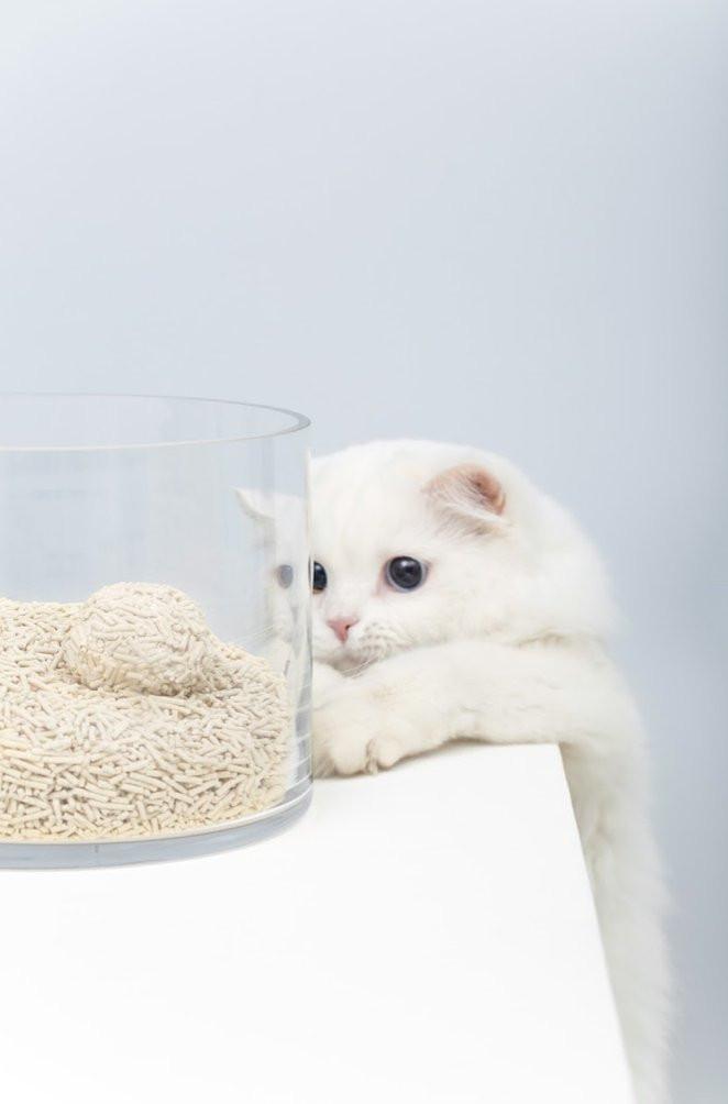 Gen3 6L Dust-Free and Natural Clumping Tofu Cat Litter - Watermelon