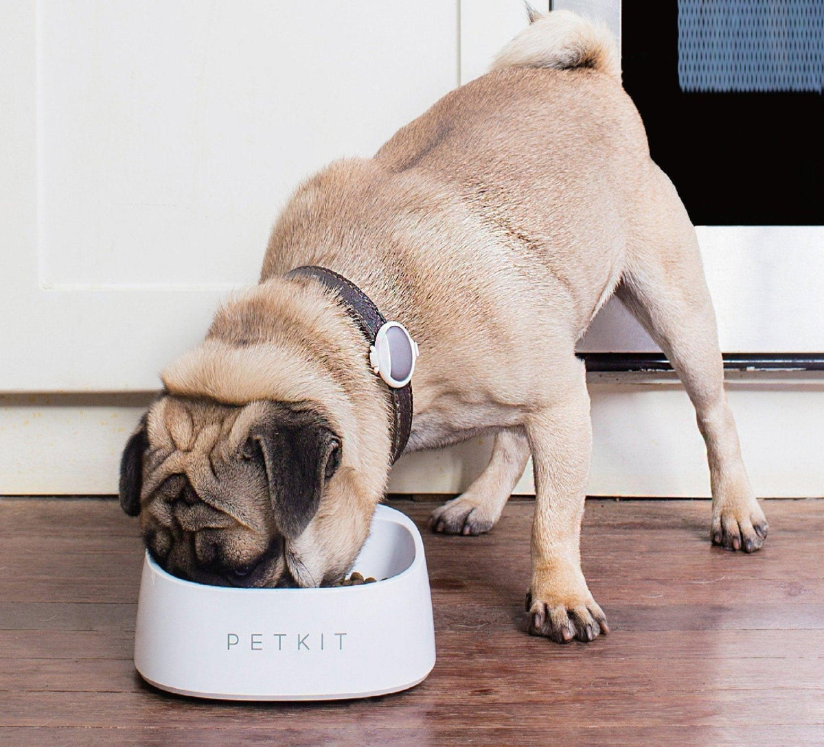 PETKIT Fresh Smart Antibacterial Digital Scale Pet Bowl For Dogs And Cats