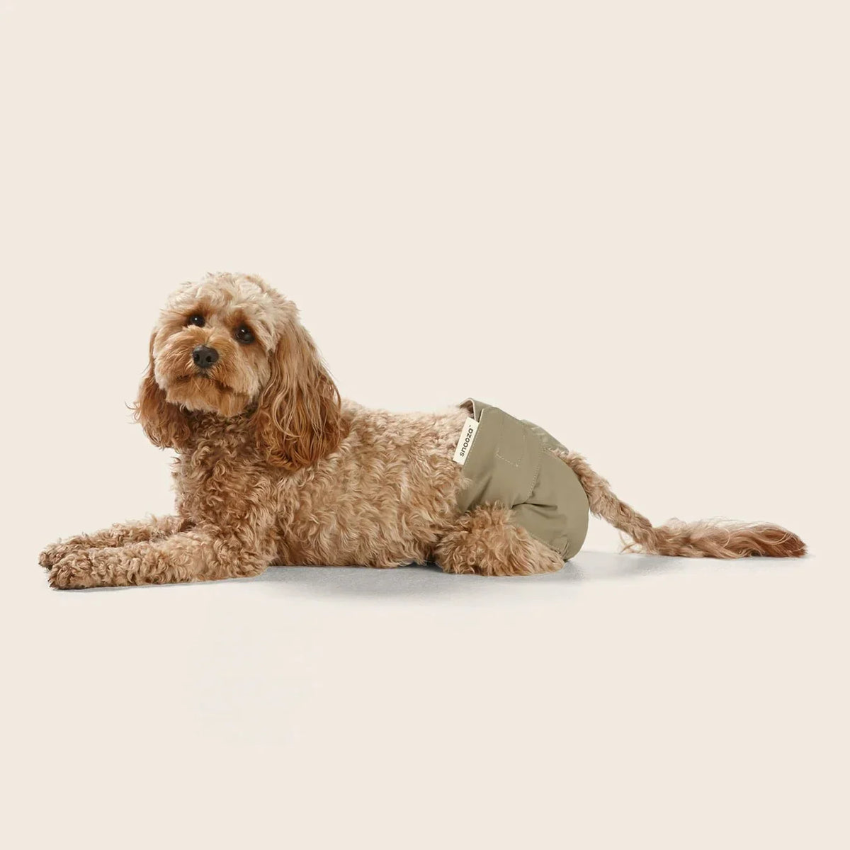 Snooza Washable Dog Nappy Band – Twin Pack for Female Dogs